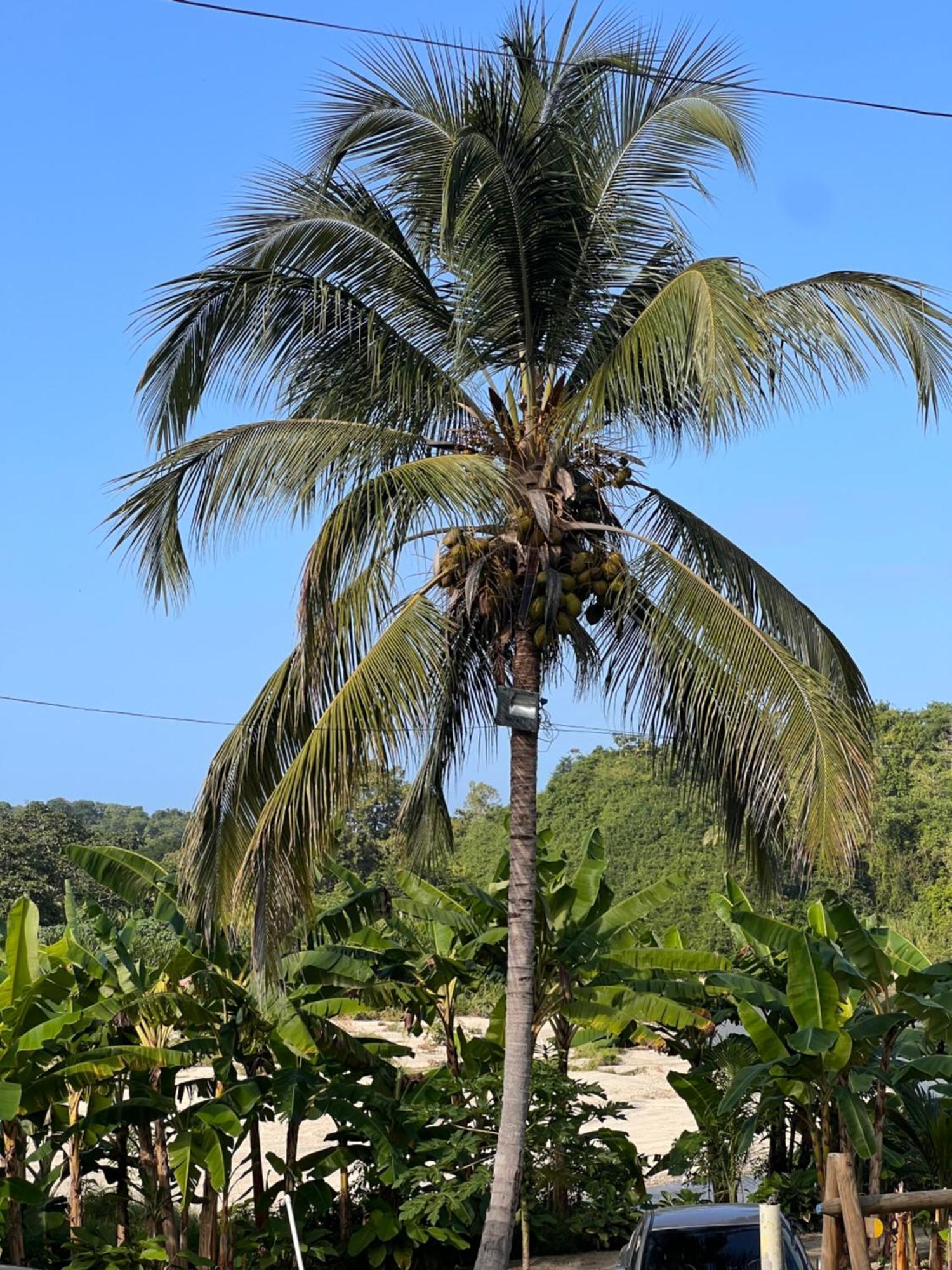Casa Huni 鄉村民宿 Santa Marta (Magdalena)