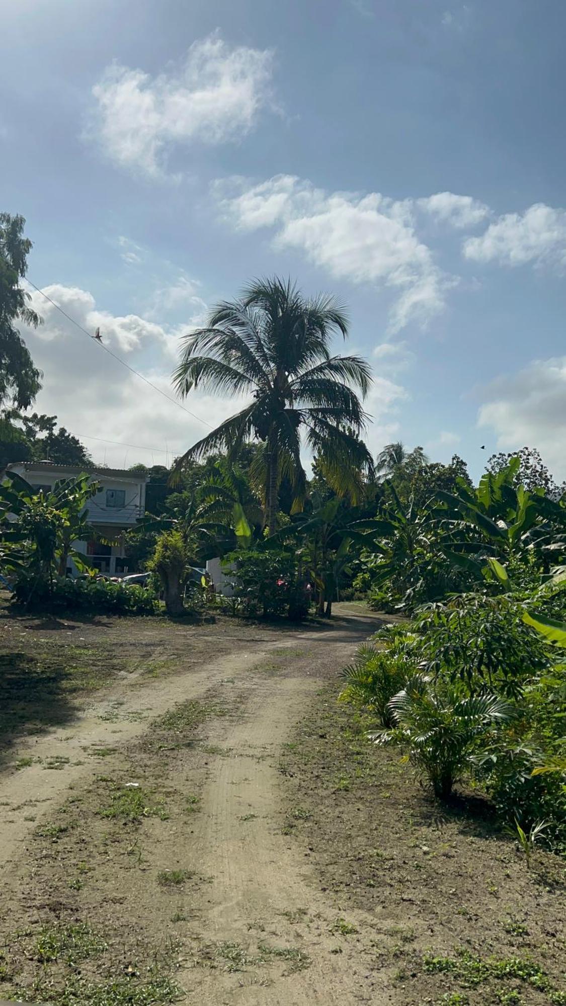鄉村民宿 Casa Huni Santa Marta (Magdalena)